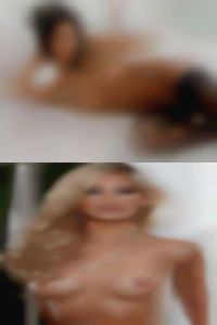 Any sex dogging girls in Tampa.